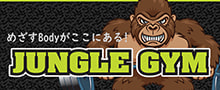 ジャングルジム